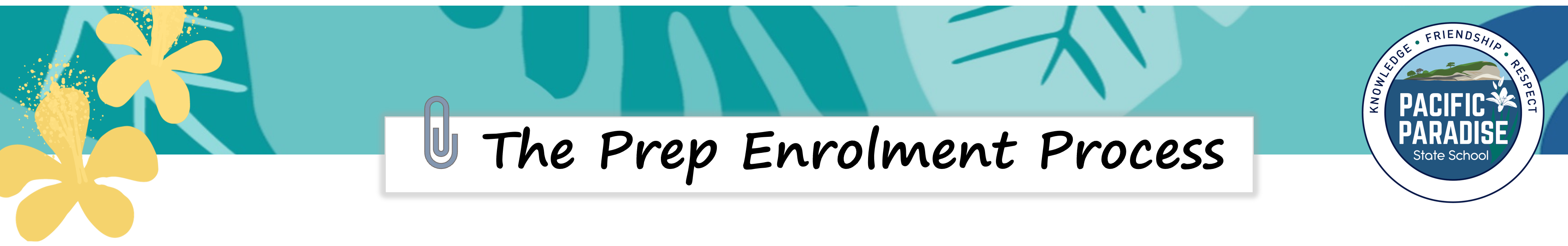 Prep enrolments